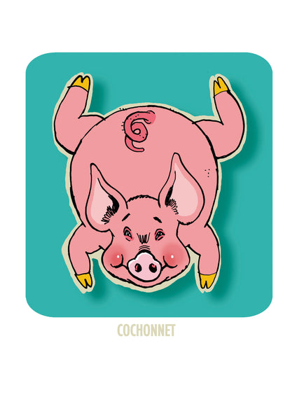 " LE COCHONNET " CARPETTE GROIN