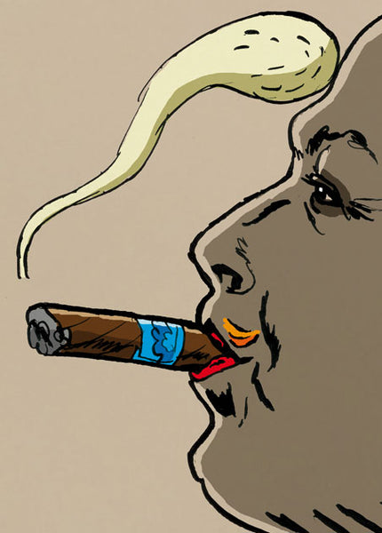 LE PROFIL DE LA FUMÉE